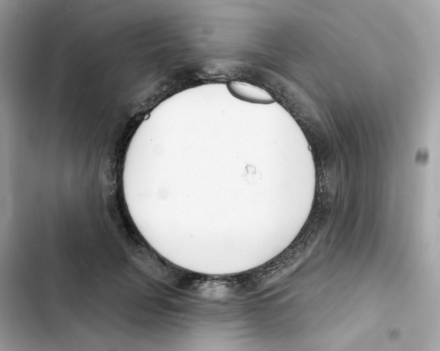 X0000102000751200808151447