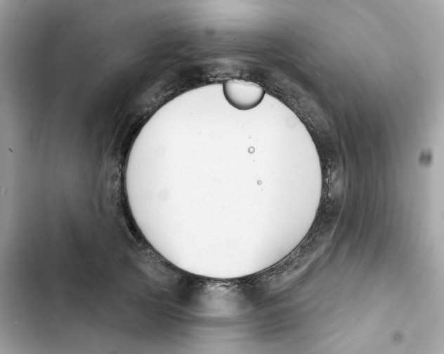 X0000102000753200808151447