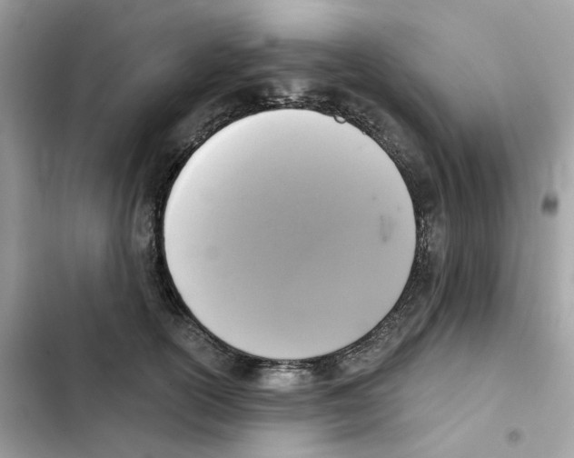 X0000102000754200808151447