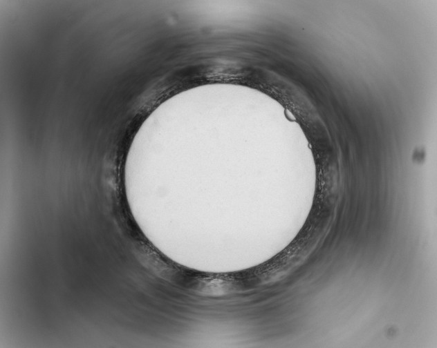 X0000102000755200808151447