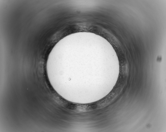 X0000102000757200808151447