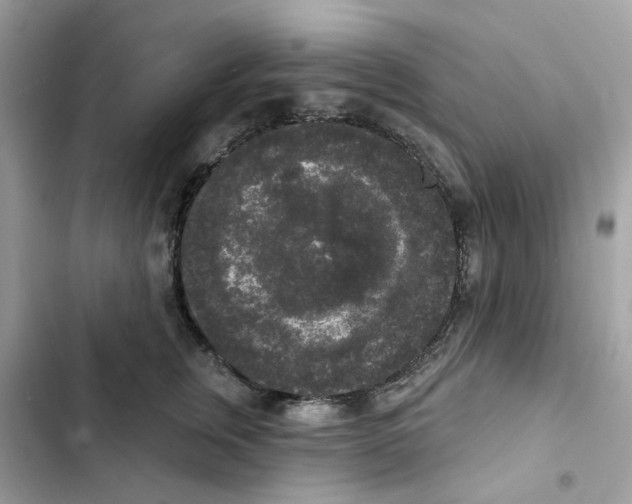 X0000102000759200808151447