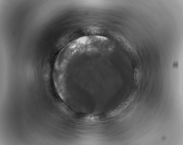 X0000102000760200808151447