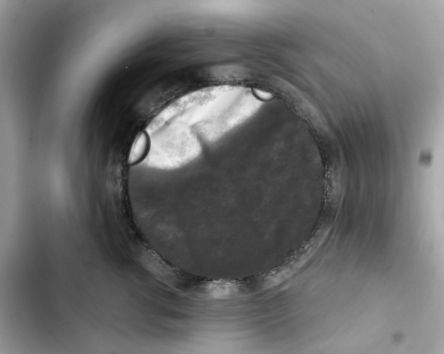 X0000102000762200808151447