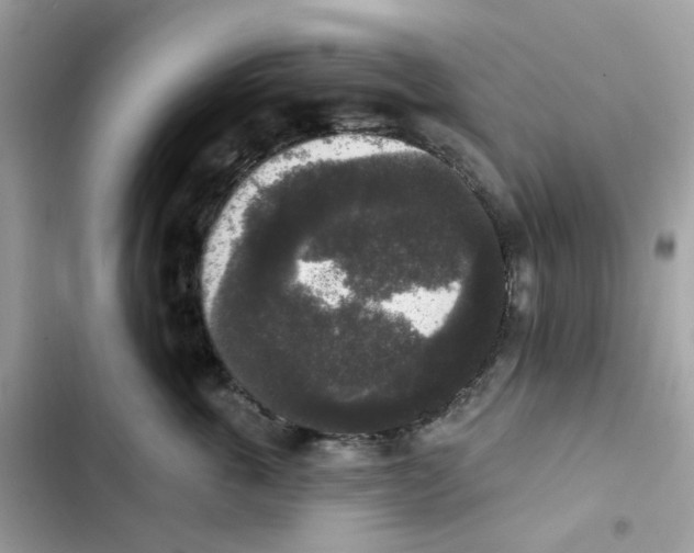 X0000102000763200808151447