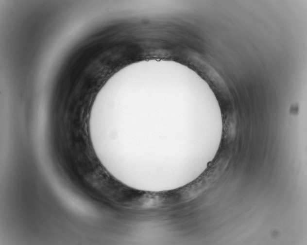 X0000102000764200808151447