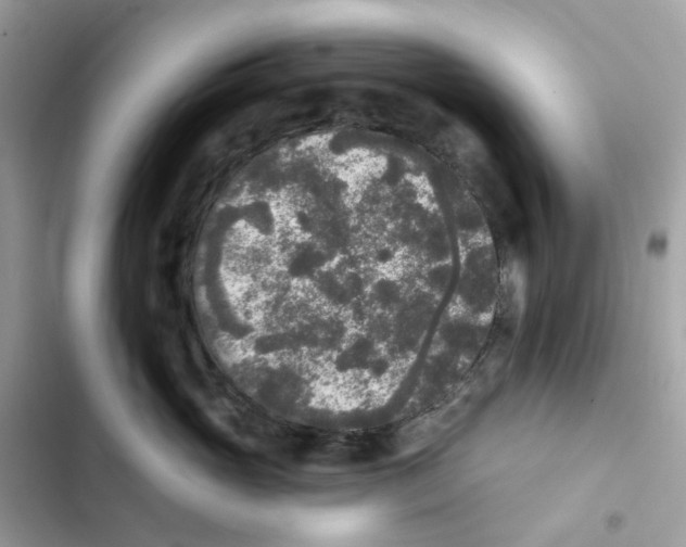 X0000102000765200808151447