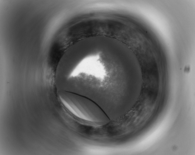 X0000102000766200808151447