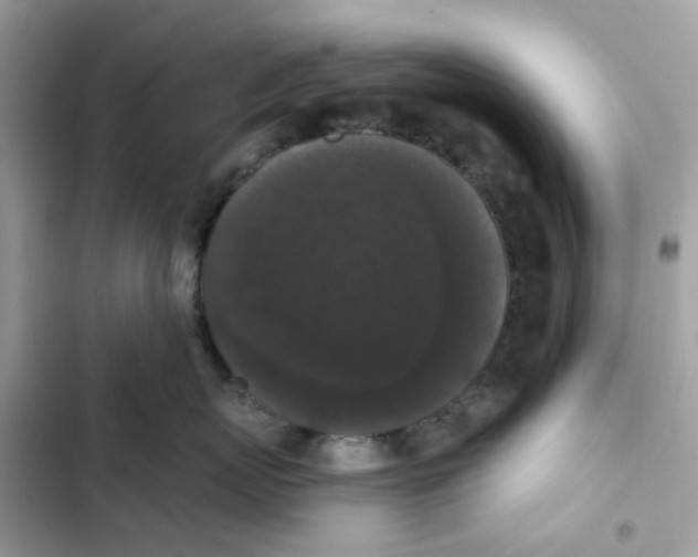 X0000102000767200808151447