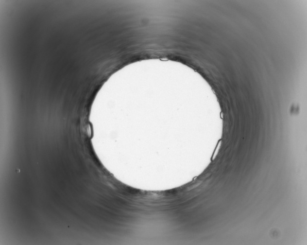 X0000102000768200808151447