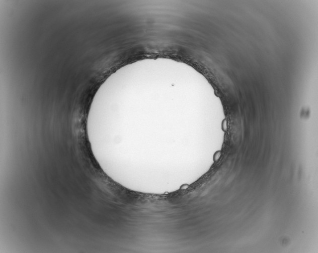 X0000102000770200808151446