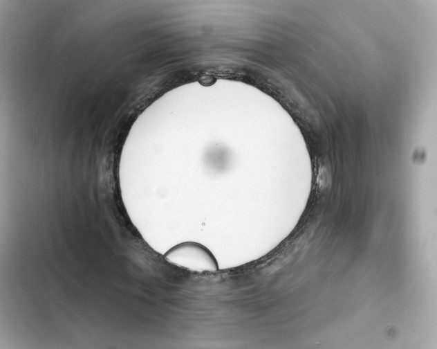 X0000102000771200808151446