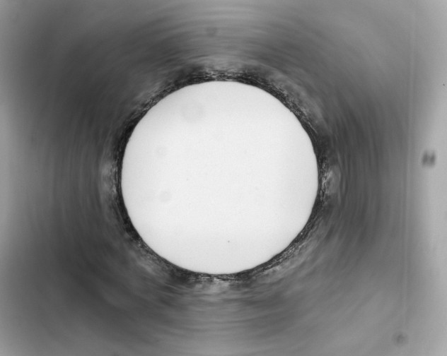 X0000102000772200808151446