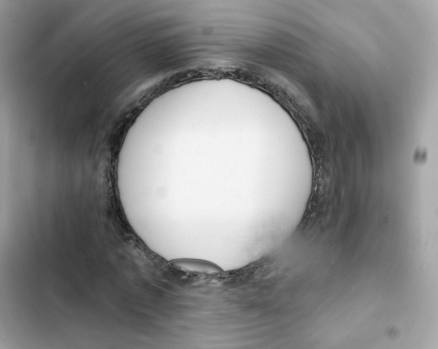 X0000102000773200808151446