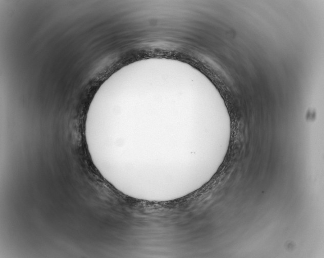 X0000102000774200808151446