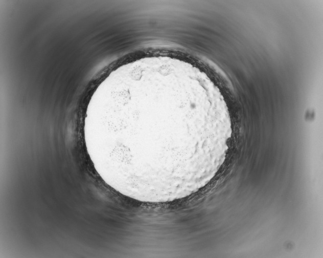 X0000102000775200808151446