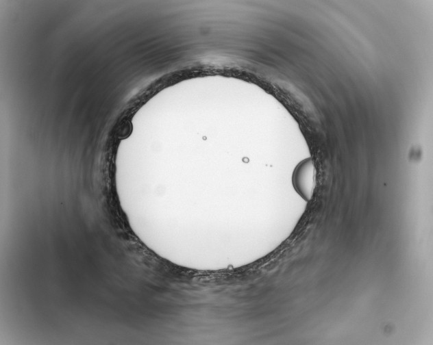 X0000102000776200808151446