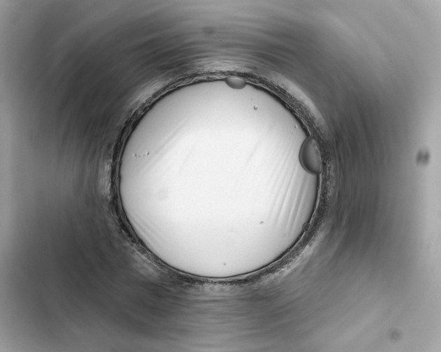 X0000102000777200808151446