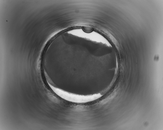 X0000102000779200808151446