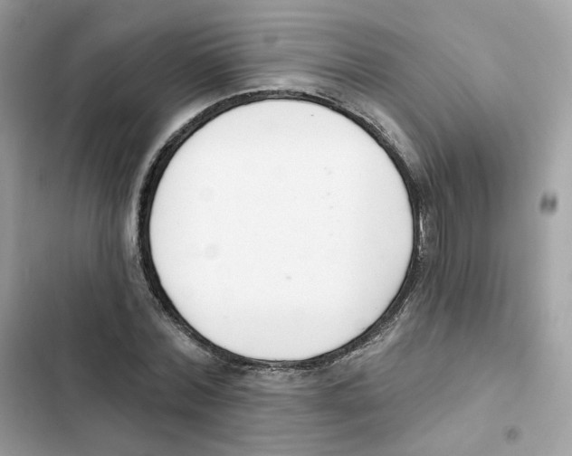 X0000102000780200808151446