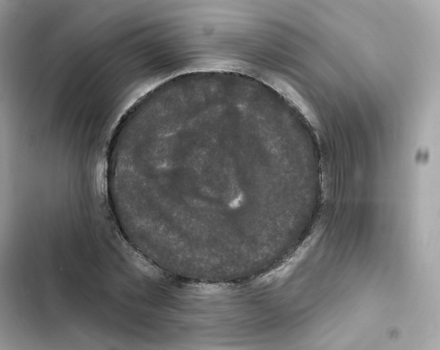 X0000102000781200808151446