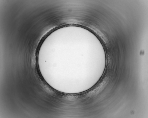 X0000102000782200808151446