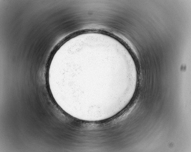 X0000102000783200808151446