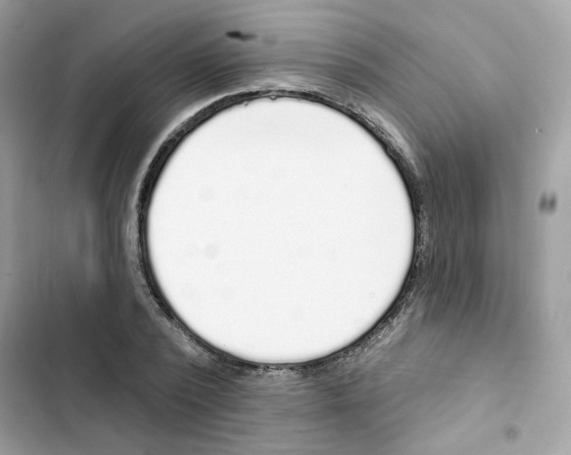 X0000102000784200808151446