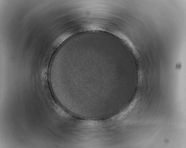 X0000102000785200808151446