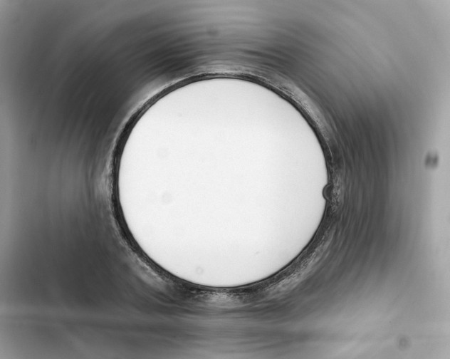 X0000102000787200808151446