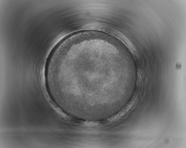 X0000102000788200808151446