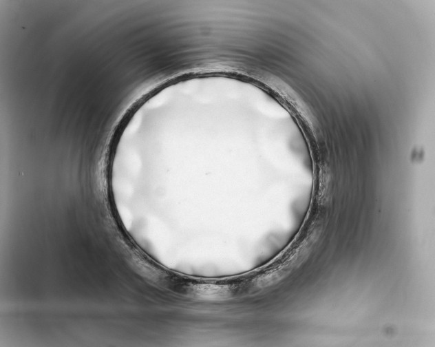 X0000102000789200808151446