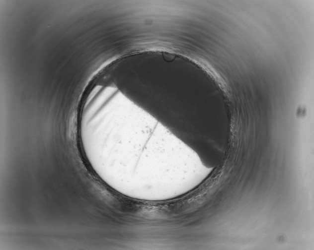 X0000102000790200808151446