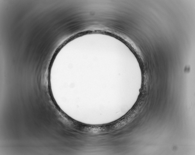 X0000102000791200808151446