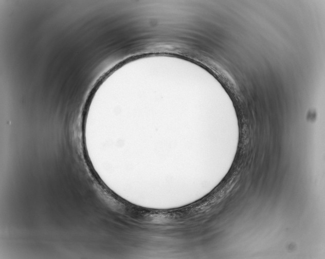 X0000102000792200808151446