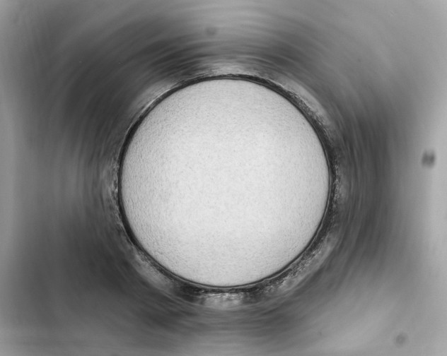 X0000102000793200808151446