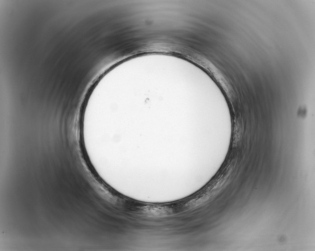 X0000102000795200808151446