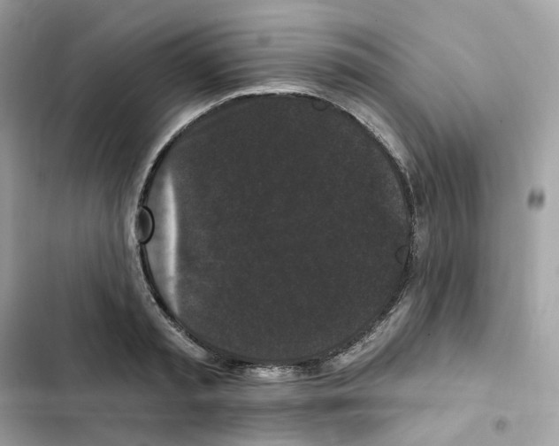 X0000102000797200808151446