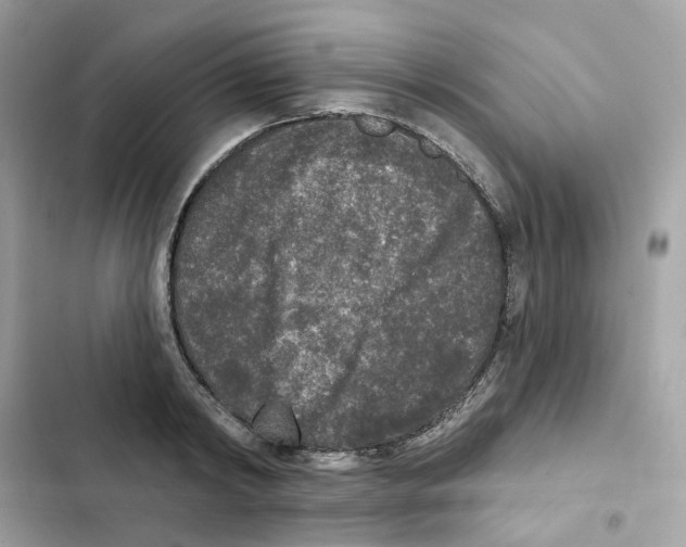 X0000102000798200808151446