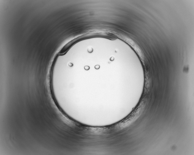 X0000102000803200808151446