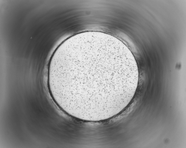 X0000102000804200808151446