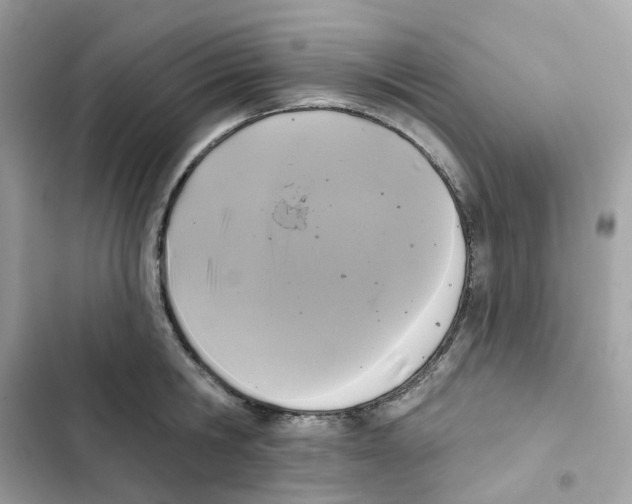 X0000102000806200808151446