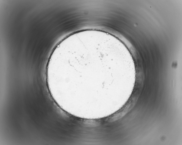 X0000102000807200808151446