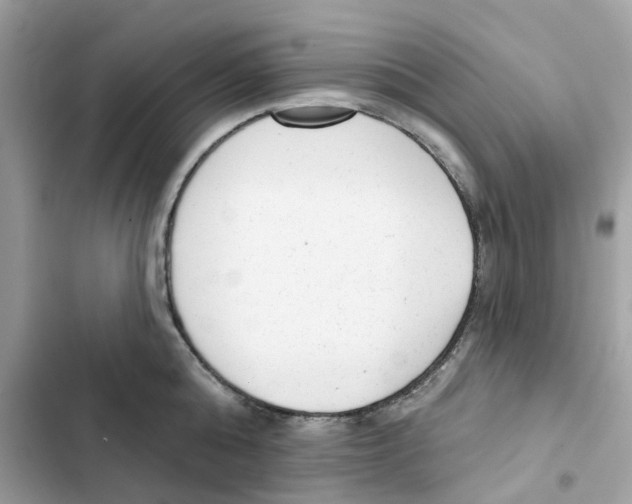 X0000102000808200808151446