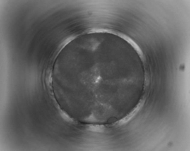 X0000102000809200808151446