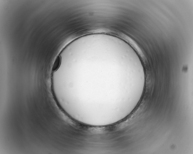 X0000102000810200808151446