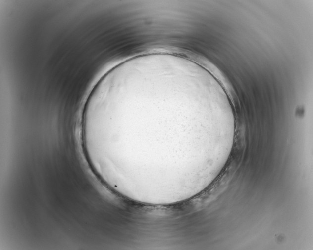 X0000102000811200808151446