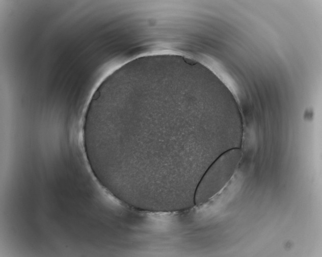 X0000102000813200808151446