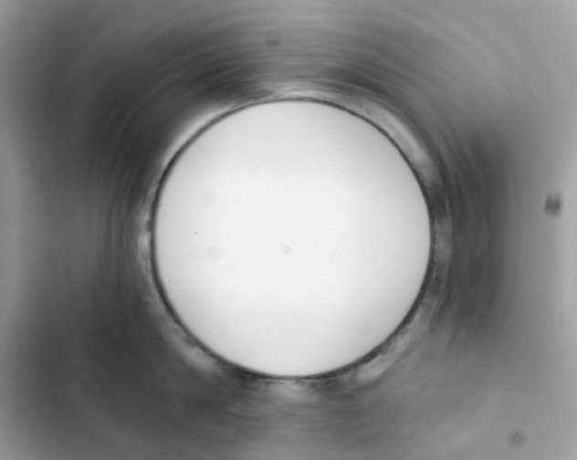 X0000102000814200808151446