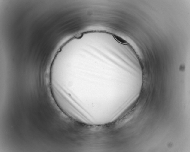 X0000102000815200808151446